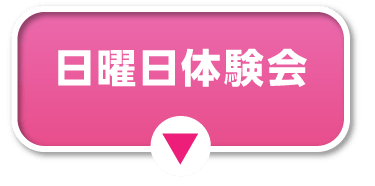 日曜日体験会