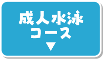 成人水泳コース