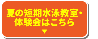 夏の短期水泳教室・体験会はこちら