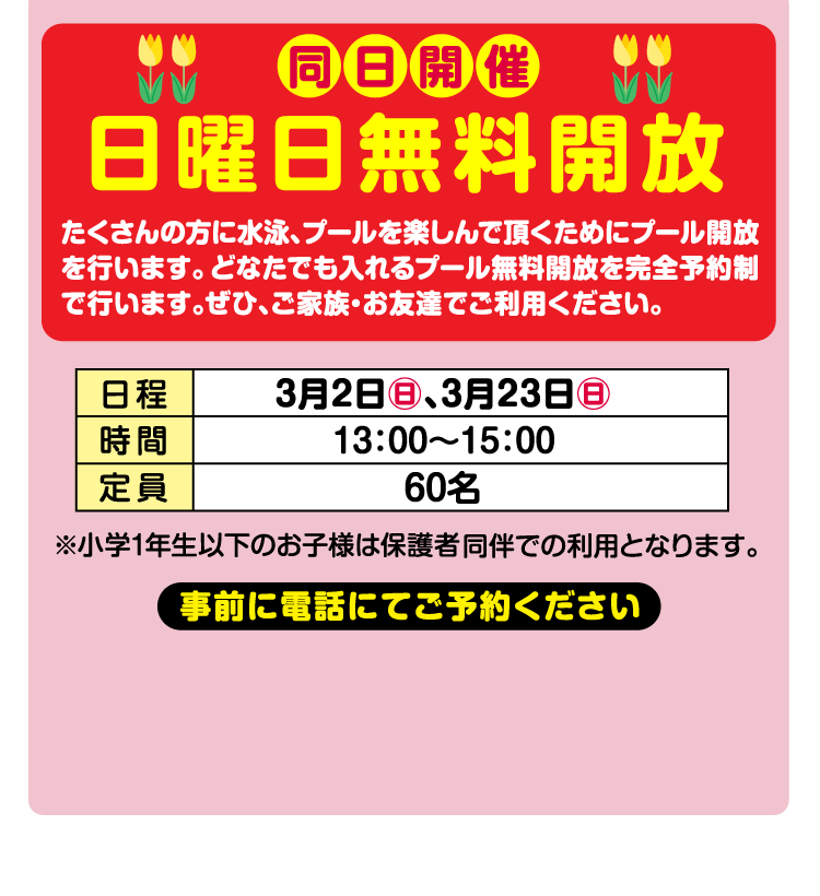 日曜日無料開放