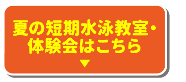 体験会はこちら