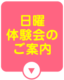 日曜体験会のご案内