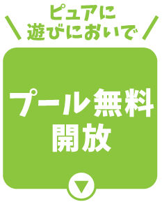 プール無料開放